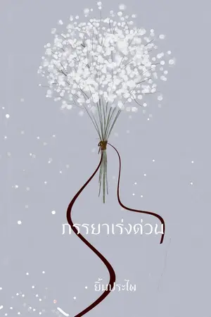 ปกนิยาย ภรรยาเร่งด่วน