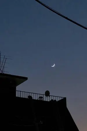 ปกนิยาย ROOFTOP #โฮลิน