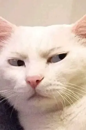 ปกนิยาย [FIC BTS] [VMIN] | โจ(น)ขโมยปลาทู