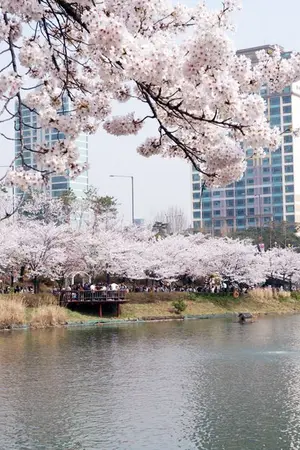 ปกนิยาย ดอกไม้ฤดูหนาว