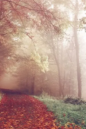 ปกนิยาย [ทดลองอ่าน] Dear Deer, from Wolf [ตีพิมพ์กับสนพ.รักคุณ]