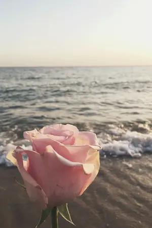 ปกนิยาย Wanderer | #jamren nct