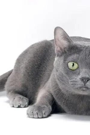 ปกนิยาย อ้อมกอดใต้ฟ้า