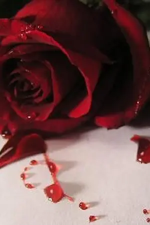 ปกนิยาย เลือดทรนง