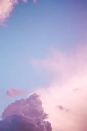 ปกนิยาย •Short Story•