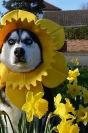 ปกนิยาย #ไม่ได้ชื่อโบ้