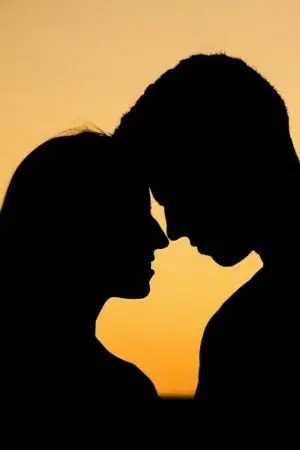 ปกนิยาย ยัยตัวร้ายกับนายปากหมา