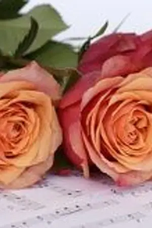 ปกนิยาย บทเพลงแห่งรัก[identity v] [naid x ??] [all]