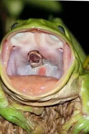 ปกนิยาย ไวรัสตะลุยต่างโลก