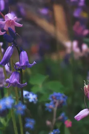 ปกนิยาย บทนางร้ายโรคจิตของผู้หญิงวิปริต