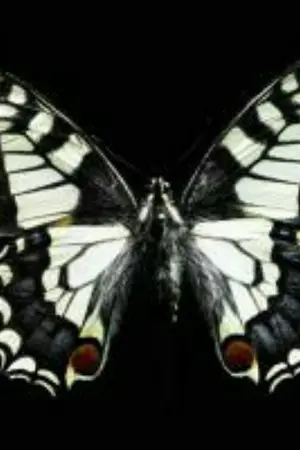 ปกนิยาย The Devil Within Me