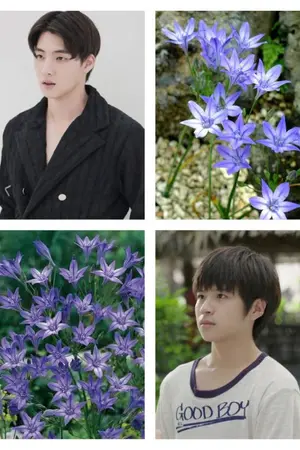 ปกนิยาย Brodiaea