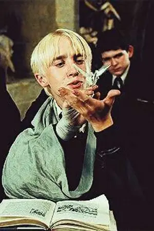 ปกนิยาย [Fic Harry Potter]Alcohol is a noticeable reason(Draco X Oc)