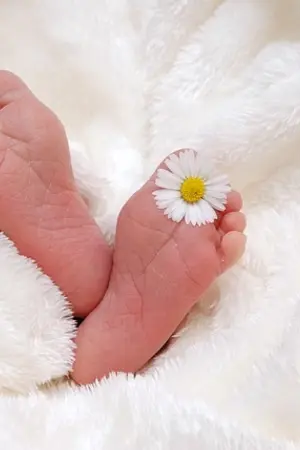 ปกนิยาย You're mine. #ภูหลงวีร์ [MPREG]