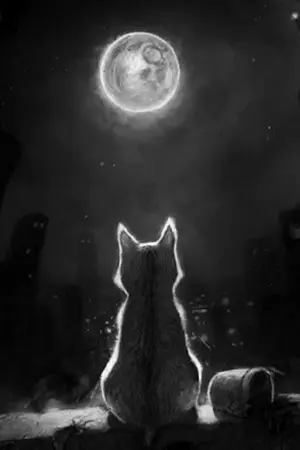 ปกนิยาย ||one man one cat หนึ่งเดียวในใจ||Yaoi