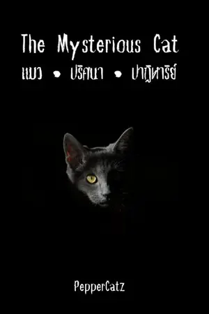 ปกนิยาย The mystery cat แมว•ปริศนา•ปาฏิหาริย์