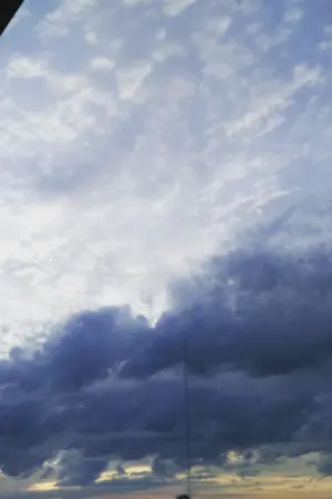 ปกนิยาย Section of love