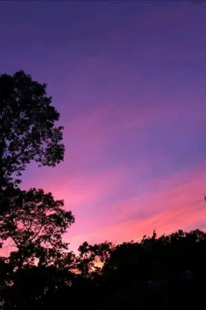 ปกนิยาย 𝟙𝟙:𝟙𝟙 ขอพรจากดาว