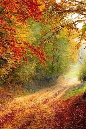 ปกนิยาย Dios 1 : เรื่องราวในอดีต