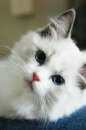 ปกนิยาย I don't think... ยังไม่ได้คิด