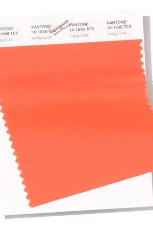 ปกนิยาย PANTONE 2019 | NOMIN