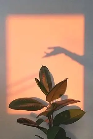 ปกนิยาย 7 Times with NM | NOMIN |END