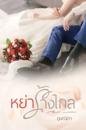 ปกนิยาย หย่าร้างไกล