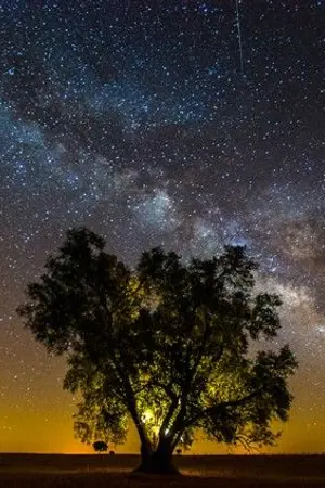 ปกนิยาย IF Dreaming { yaoi) 3p