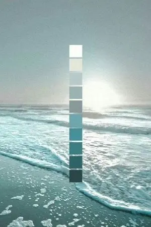 ปกนิยาย หนึ่งในฝัน  สีเทาหม่นในภาพวาด