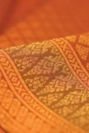 ปกนิยาย สาปคีต