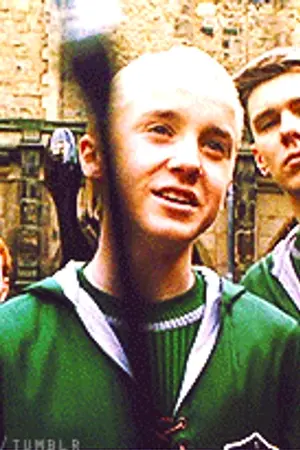 ปกนิยาย OUR treasure OUR drarry