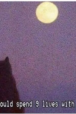 ปกนิยาย เรื่องราวของเด็กหลังกุ้ง