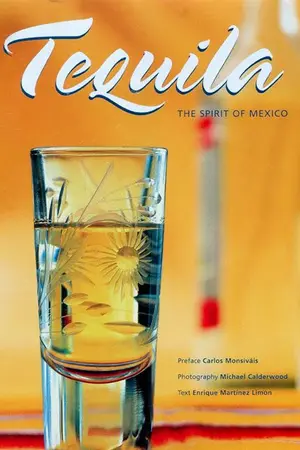 ปกนิยาย พบกันใหม่ เตกีร่าxบอสตัน