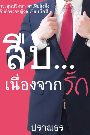 ปกนิยาย สืบ...เนื่องจากรัก