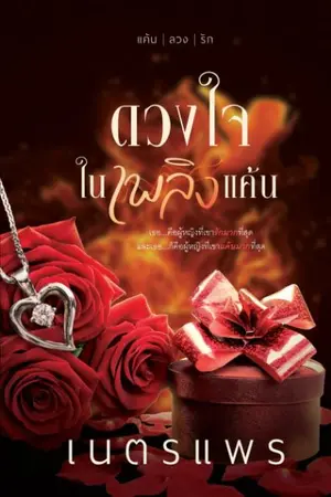 ปกนิยาย