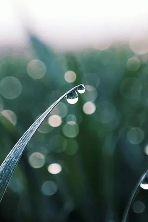 ปกนิยาย All My Cup of Tea รวมเรื่องสั้น