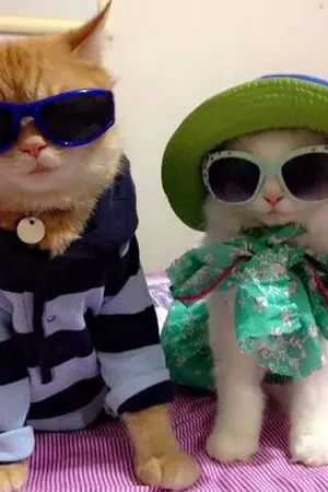 ปกนิยาย หัวหน้าเคิ้ป w/markbam