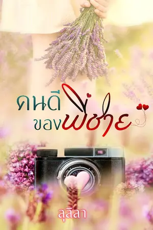 ปกนิยาย คนดีของพี่ชาย