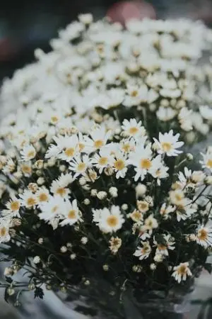 ปกนิยาย Try? ลอง(รัก)กันมั้ย #กินพ่อง