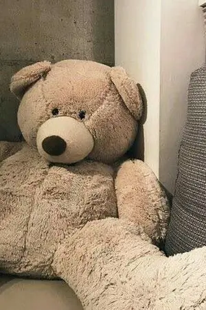 ปกนิยาย TEDDY BEAR #KOOKV