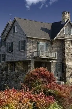 ปกนิยาย [ดอง]my UT