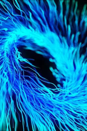 ปกนิยาย Fic Blue Exorcist / Ao no exorcist: Blend it