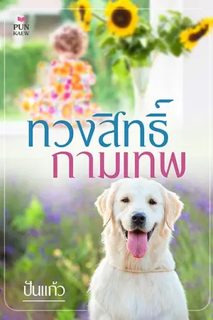 ปกนิยาย