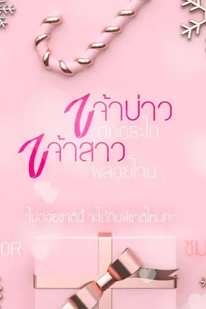ปกนิยาย เจ้าบ่าวตกกระได เจ้าสาวพลอยโจน