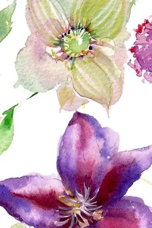 ปกนิยาย ท่านหญิงอึน