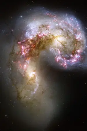 ปกนิยาย ธรรมดาแปลว่าภรรยาคุณตง