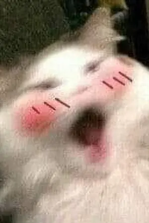 ปกนิยาย เกิดใหม่อีกครั้งในสถานะเดิม คนเดิม เพิ่มเติมคือเป็นผู้ชายและระบบเสียงโครตหล่อ(Y,BL, Normal) (ยังไม่กำหนด)​