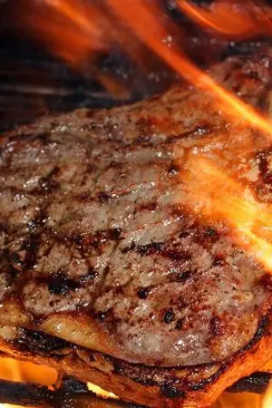 ปกนิยาย TwoKingdomsOnline