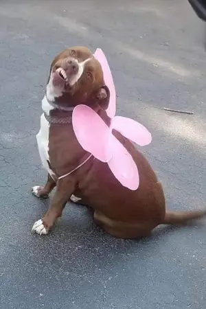 ปกนิยาย [Tokyo Revengers]เป็นพี่ของสองพี่น้องไฮทานิก็ไม่ได้แย่นะ