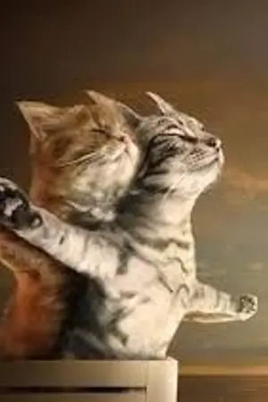 ปกนิยาย YOU...คุณคนเดิม [ yaoi ]